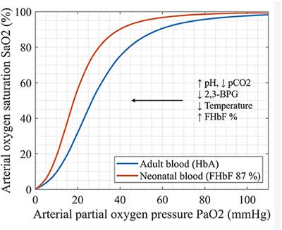 Fetal Hemoglobin and Tissue Oxygenation Measured With Near-Infrared Spectroscopy—A Systematic Qualitative Review